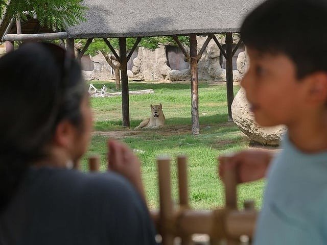 Dubai Safari park tickets, prices and packages for 2025 season