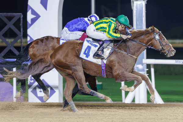 Jebel Ali Racecourse Marks Landmark Year with Showcase of Top-Class Racing
